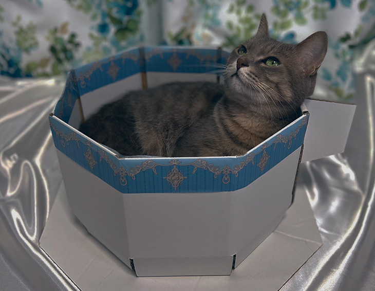 自社プロダクト