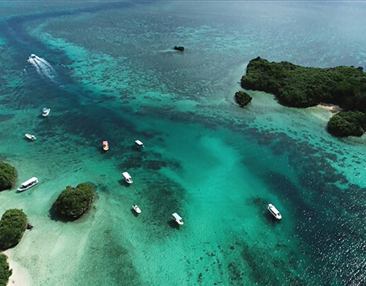 ライオンズファシリティ株式会社 様