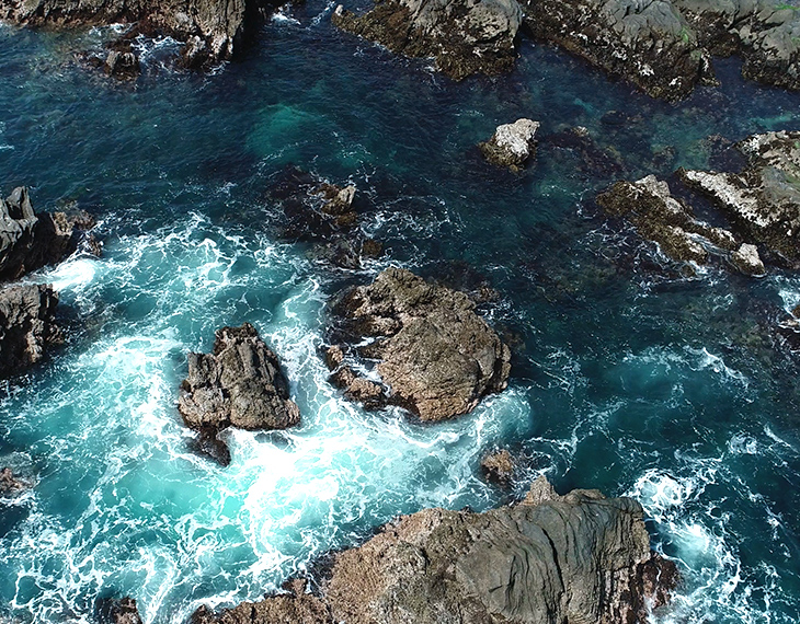 ライオンズファシリティ株式会社 様