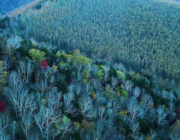 ライオンズファシリティ株式会社 様