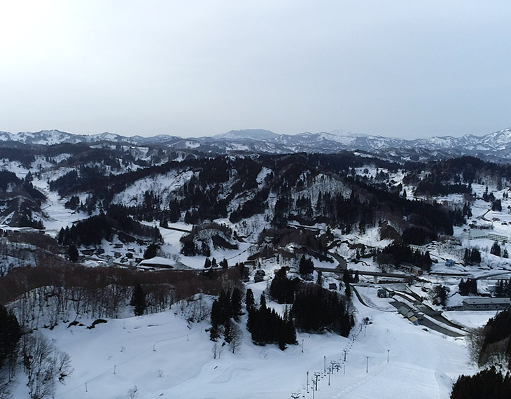 ライオンズファシリティ株式会社 様