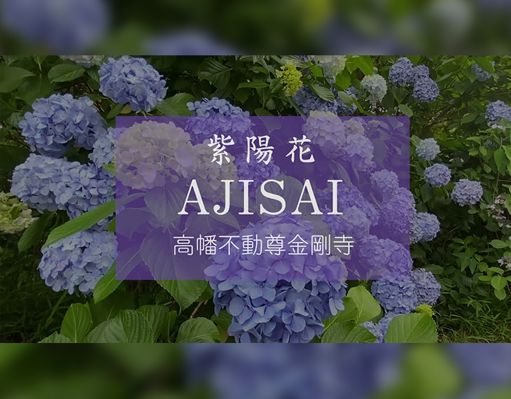 高幡不動尊金剛寺 様