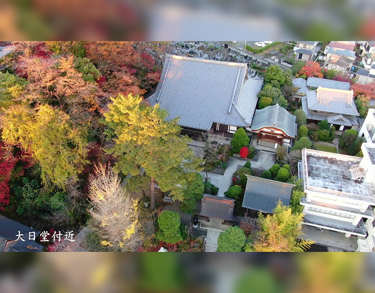 高幡不動尊金剛寺 様
