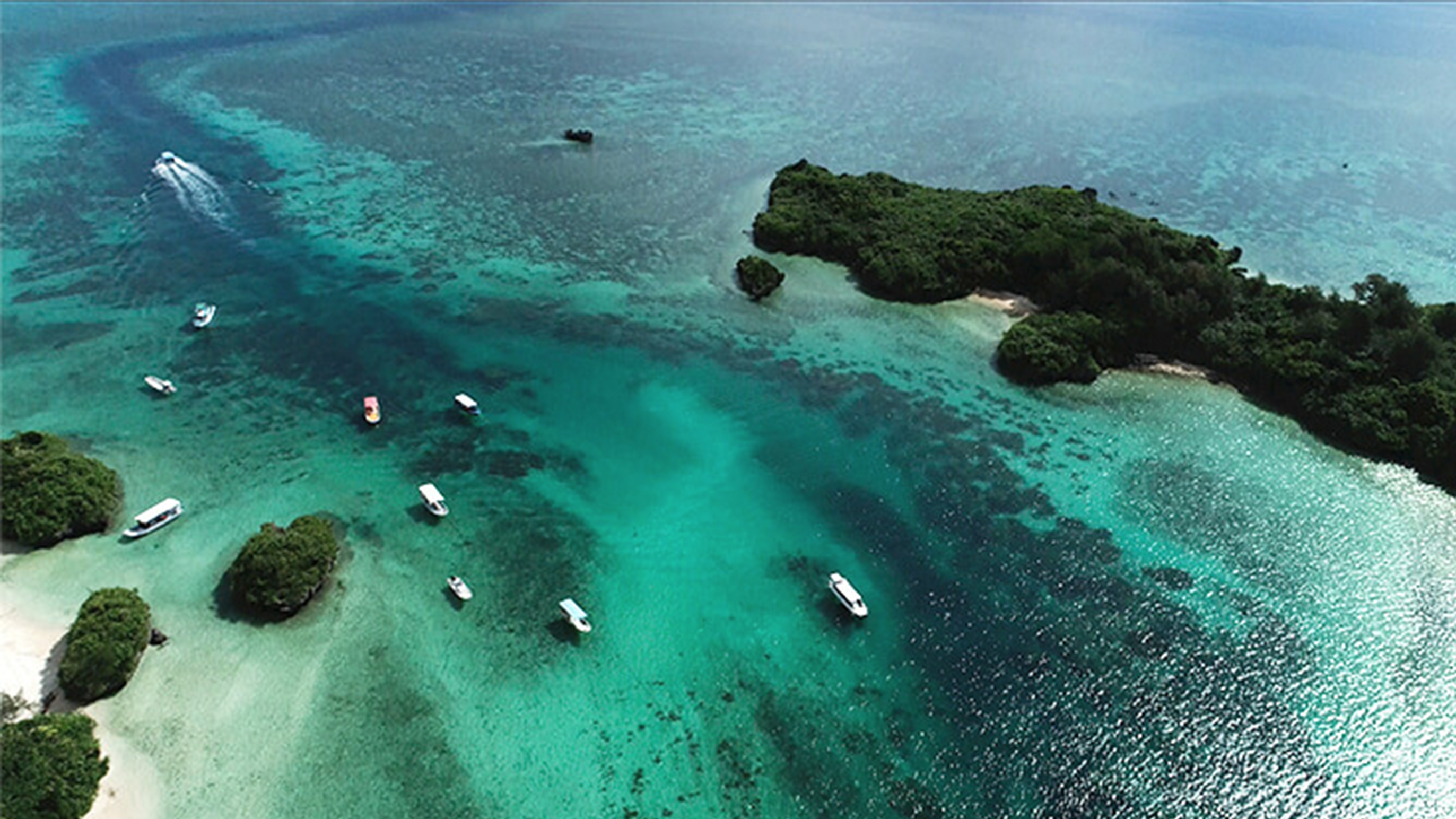 ライオンズファシリティ株式会社 様