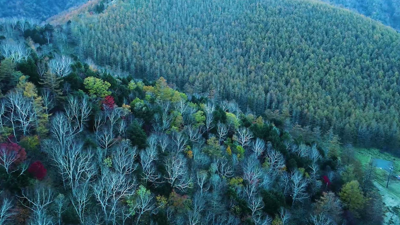 ライオンズファシリティ株式会社 様