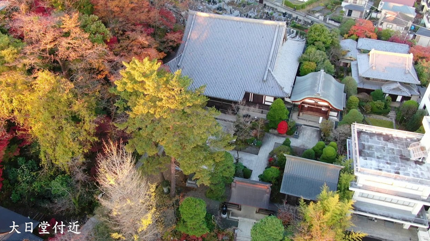 高幡不動尊金剛寺 様